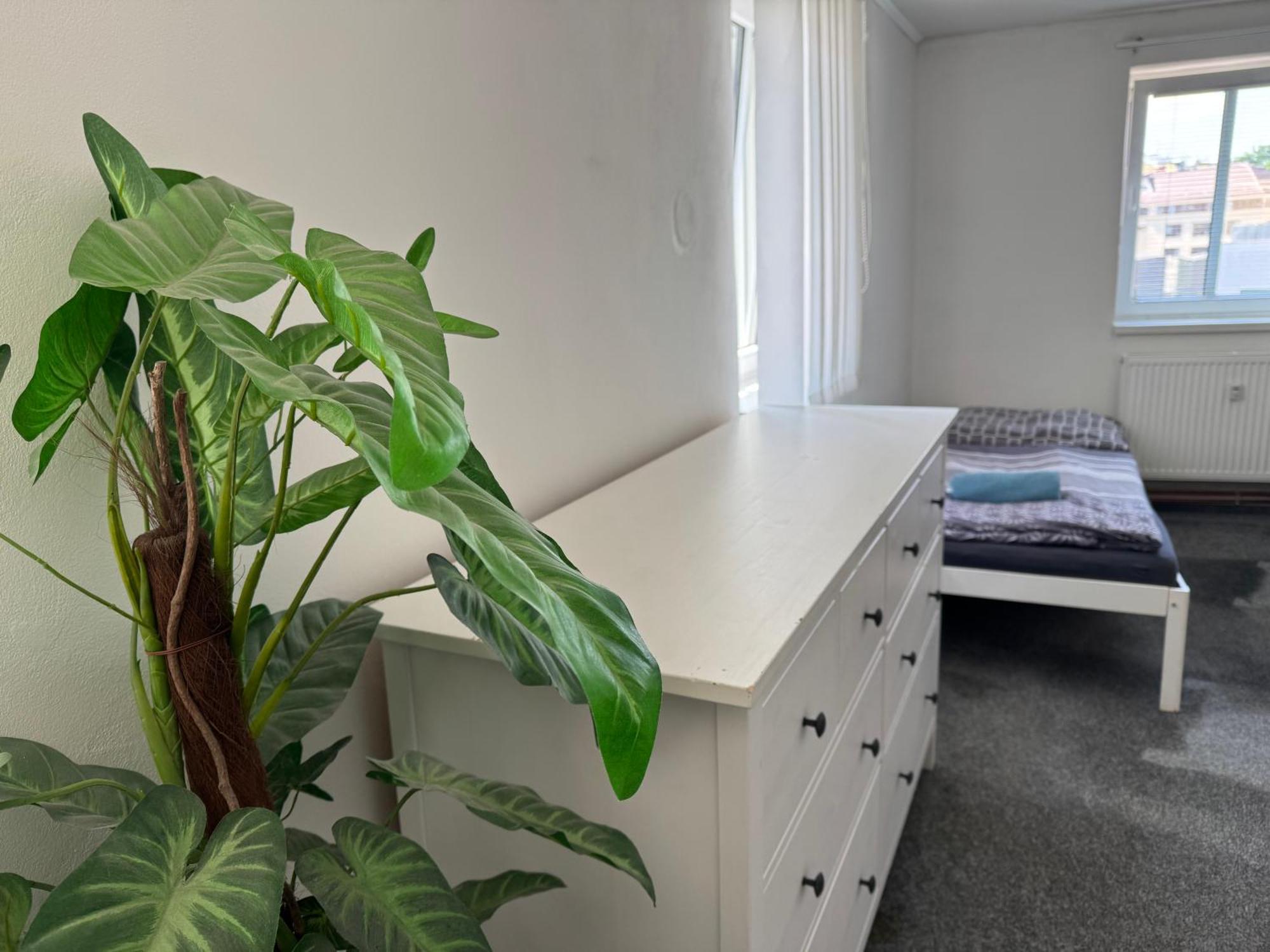 Old Town Apartments R11 أولوموك المظهر الخارجي الصورة